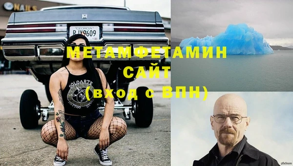 ПСИЛОЦИБИНОВЫЕ ГРИБЫ Гусев